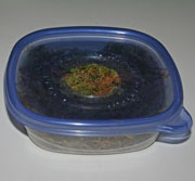 corn snake moist hide spaghnum moss