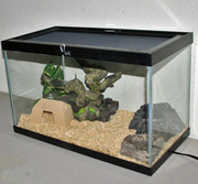 reptile tank