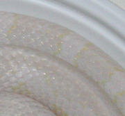 Blizzard Corn Snake